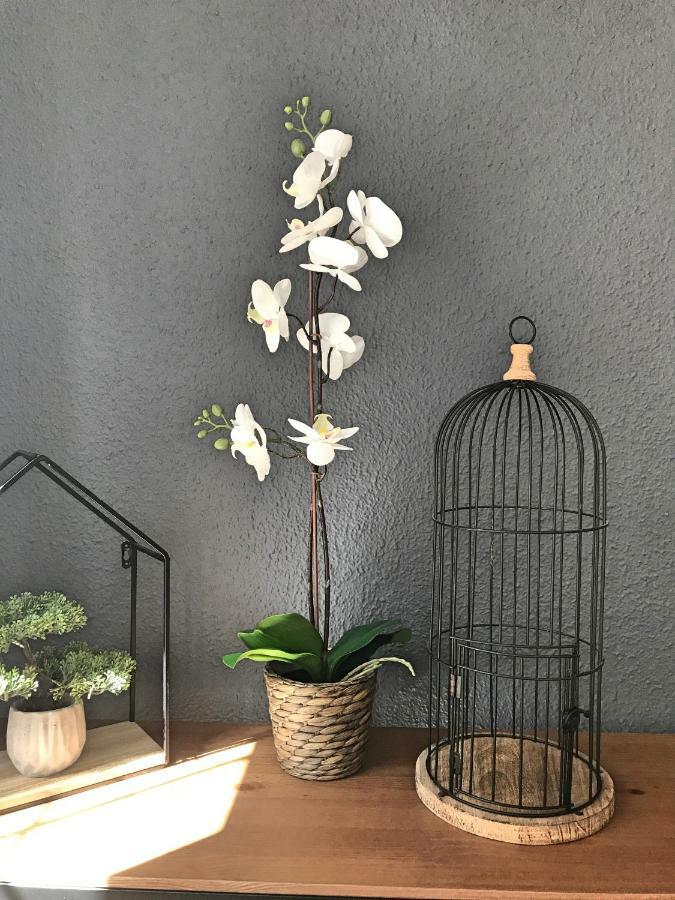 Bruno'S Home Malaga Ngoại thất bức ảnh